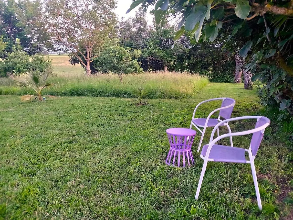 La Maison Pop-70'S-Spot Nature-B&B Sarrant