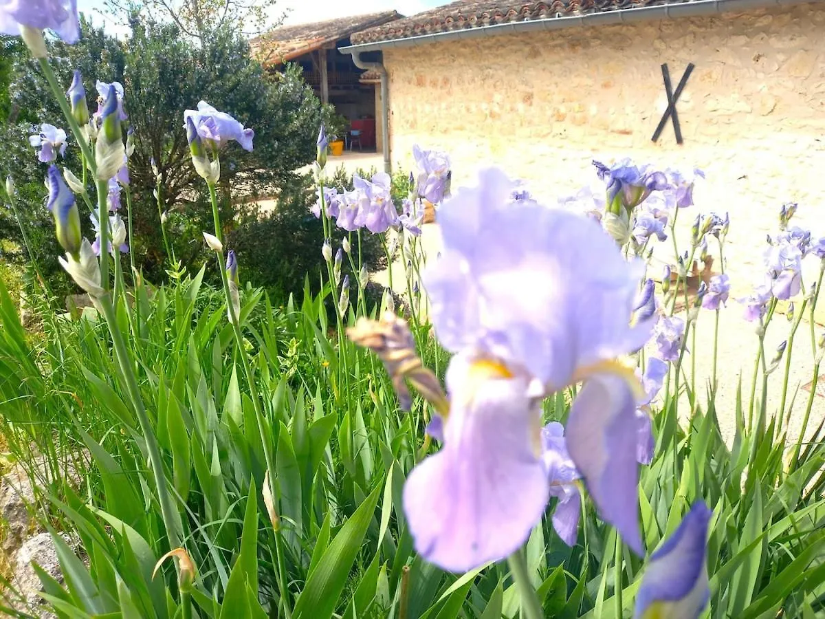 別荘 La Maison Pop-70'S-Spot Nature-B&B Sarrant