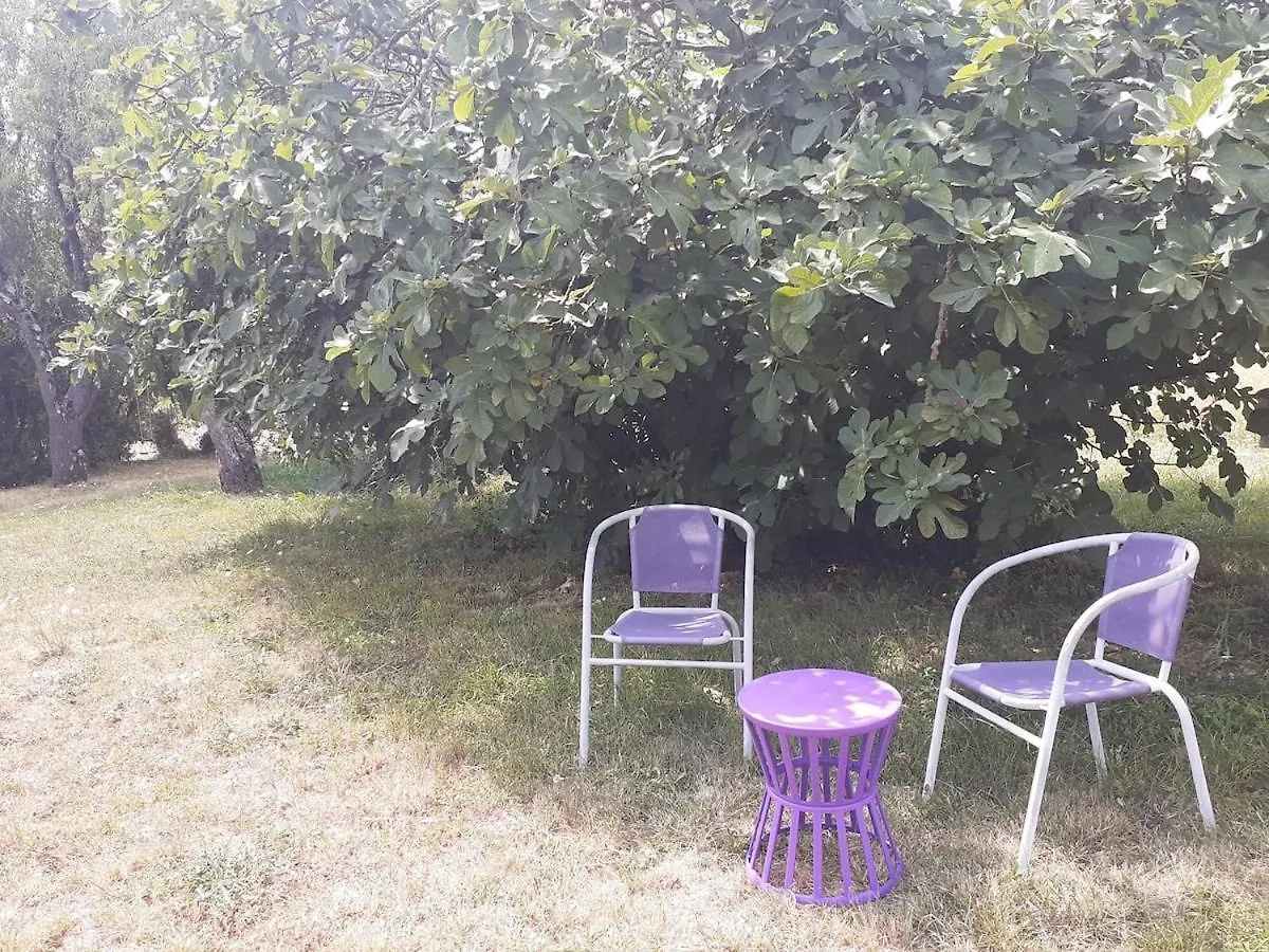 別荘 La Maison Pop-70'S-Spot Nature-B&B Sarrant フランス